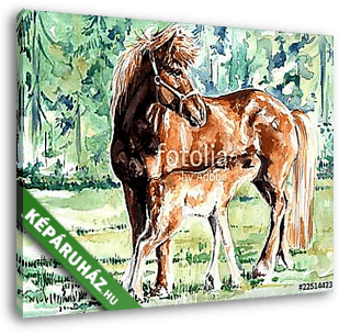 Ló és kicsinye (akvarell) - vászonkép 3D látványterv