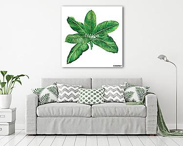 Watercolor painting green leaves,palm leaf isolated on white bac (vászonkép) - vászonkép, falikép otthonra és irodába