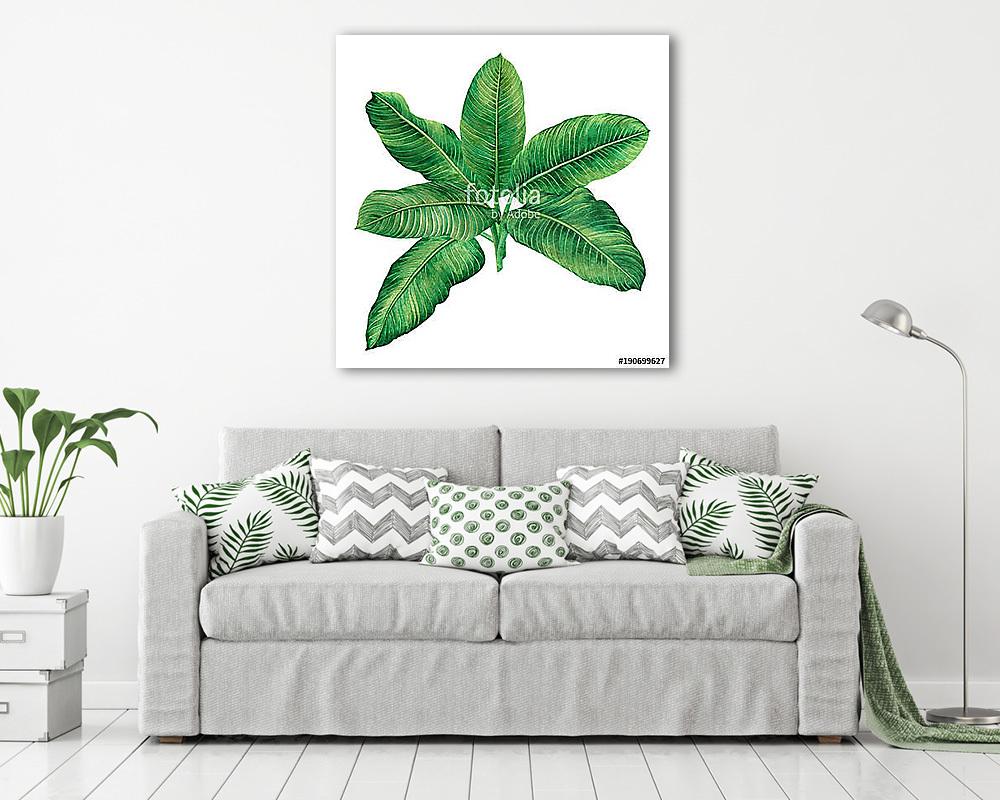 Watercolor painting green leaves,palm leaf isolated on white bac (többrészes kép) - vászonkép, falikép otthonra és irodába