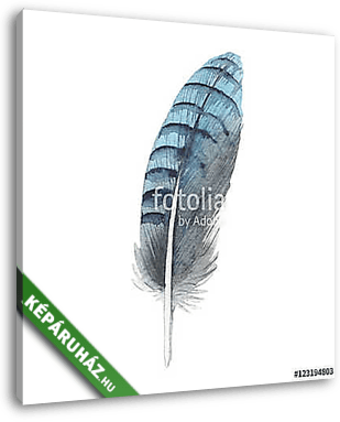 Watercolor bird feather from wing isolated. Aquarelle wild flowe - vászonkép 3D látványterv