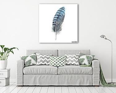 Watercolor bird feather from wing isolated. Aquarelle wild flowe (vászonkép) - vászonkép, falikép otthonra és irodába