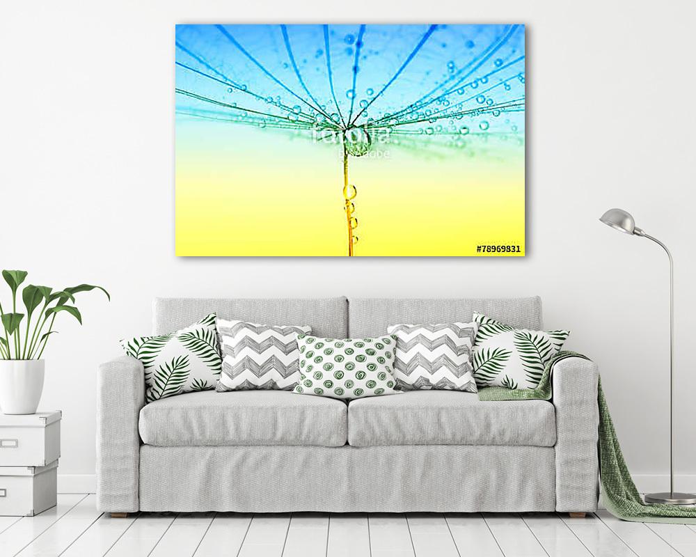 Dandelion seed - vászonkép, falikép vásárlás Dandelion seed (keretezett kép) - vászonkép, falikép otthonra és irodába