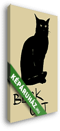 Fekete macska - vászonkép 3D látványterv
