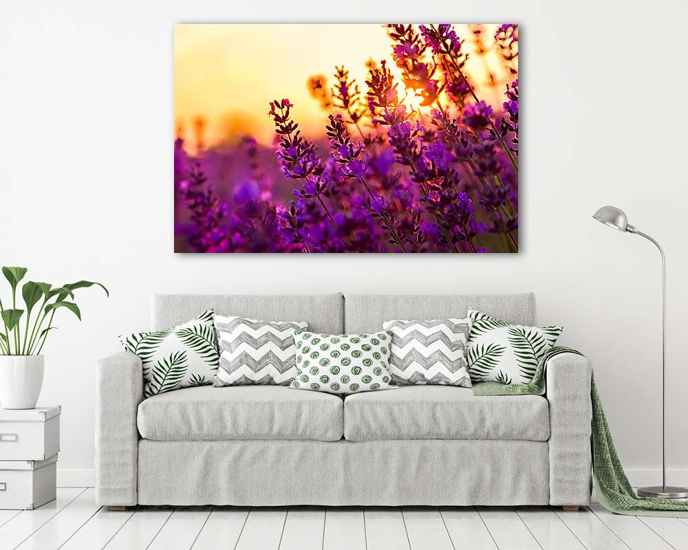 Levendulaföld Tihanyban, Magyarország (poszter) - vászonkép, falikép otthonra és irodába