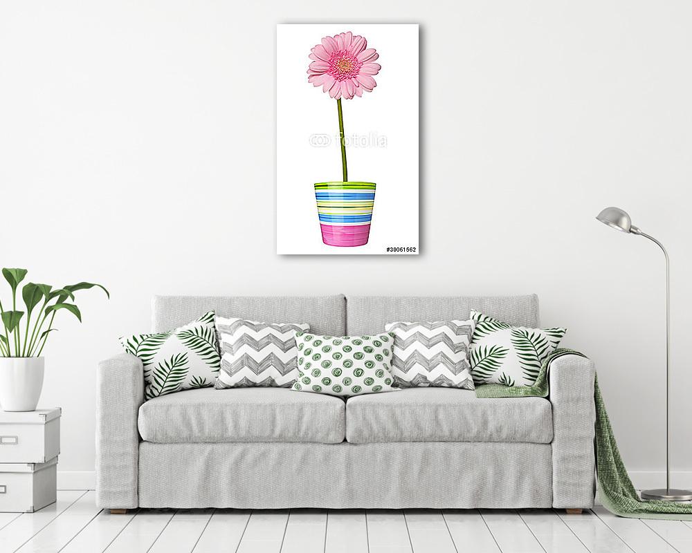 virágos természet kert botanika százszorszép virágos edény - vászonkép, falikép vásárlás virágos természet kert botanika százszorszép virágos edény (vászonkép) - vászonkép, falikép otthonra és irodába