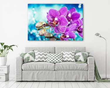 Virágok - Orchidea, Orchidea (vászonkép) - vászonkép, falikép otthonra és irodába