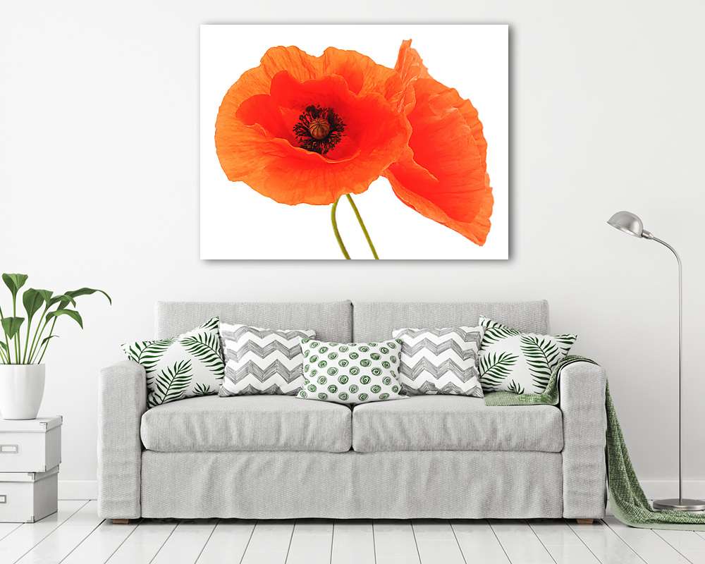 Vörös pipacsok. (fotótapéta) - vászonkép, falikép otthonra és irodába