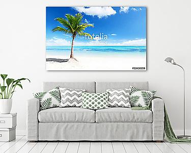 palms and beach (vászonkép) - vászonkép, falikép otthonra és irodába