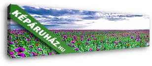 Virágmező - vászonkép 3D látványterv