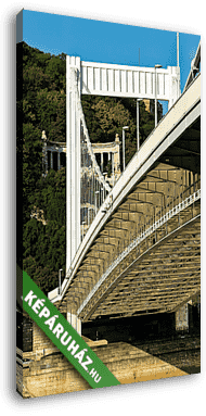 Erzsébet híd lenti perspektívában  - vászonkép 3D látványterv