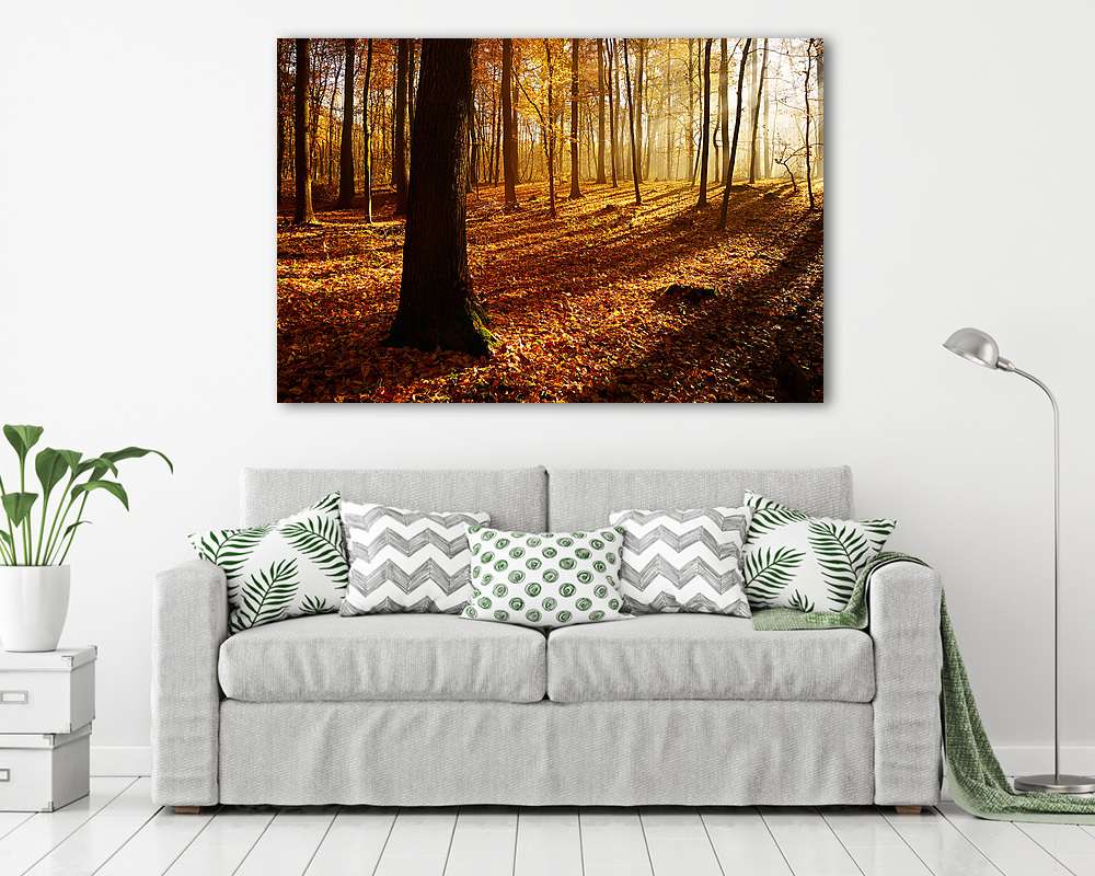 Őszi erdő a napsugarak által a ködön keresztül, Leafs Changin - vászonkép, falikép vásárlás Őszi erdő a napsugarak által a ködön keresztül, Leafs Changin (vászonkép) - vászonkép, falikép otthonra és irodába