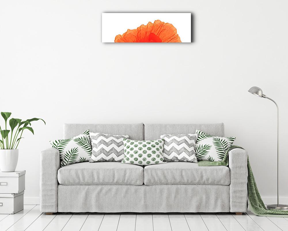 Vörös pipacsok. (fotótapéta) - vászonkép, falikép otthonra és irodába