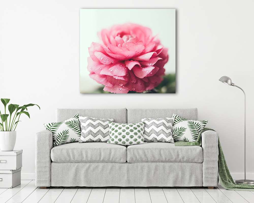 pink buttercup flower (poszter) - vászonkép, falikép otthonra és irodába