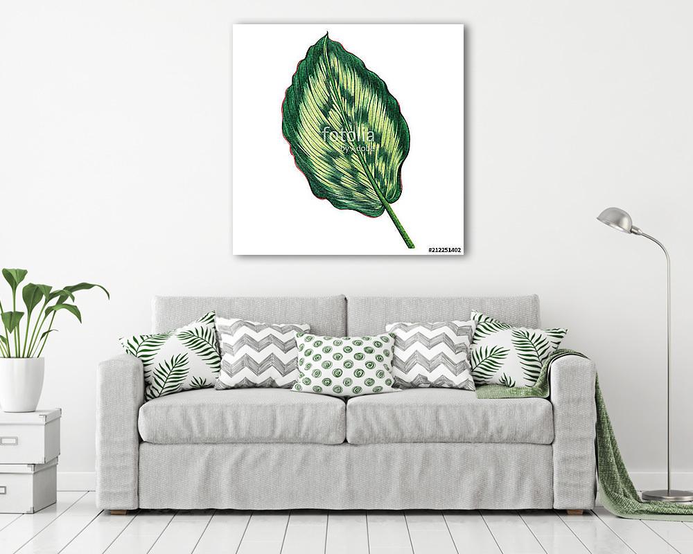Watercolor painting green leaves,palm leaf isolated on white bac (vászonkép) - vászonkép, falikép otthonra és irodába