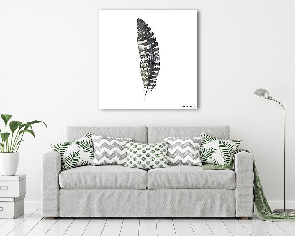 Watercolor bird feather from wing isolated. Aquarelle wild flowe (bögre) - vászonkép, falikép otthonra és irodába