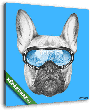 Portrait of French Bulldog with ski goggles. Hand drawn illustra - vászonkép 3D látványterv