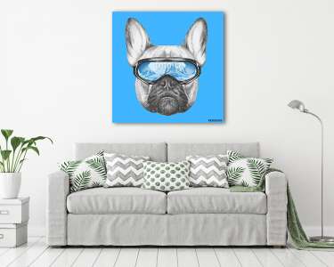 Portrait of French Bulldog with ski goggles. Hand drawn illustra (vászonkép) - vászonkép, falikép otthonra és irodába