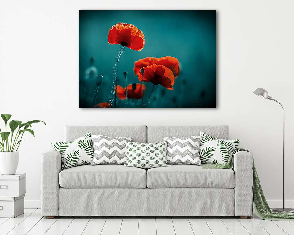 Csodálatos mákmező. Nyári virágok. (fotótapéta) - vászonkép, falikép otthonra és irodába