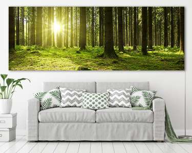 Napfény a zöld erdőben. (vászonkép) - vászonkép, falikép otthonra és irodába