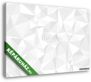 geometric black and white background. monochrome. Background in  - vászonkép 3D látványterv