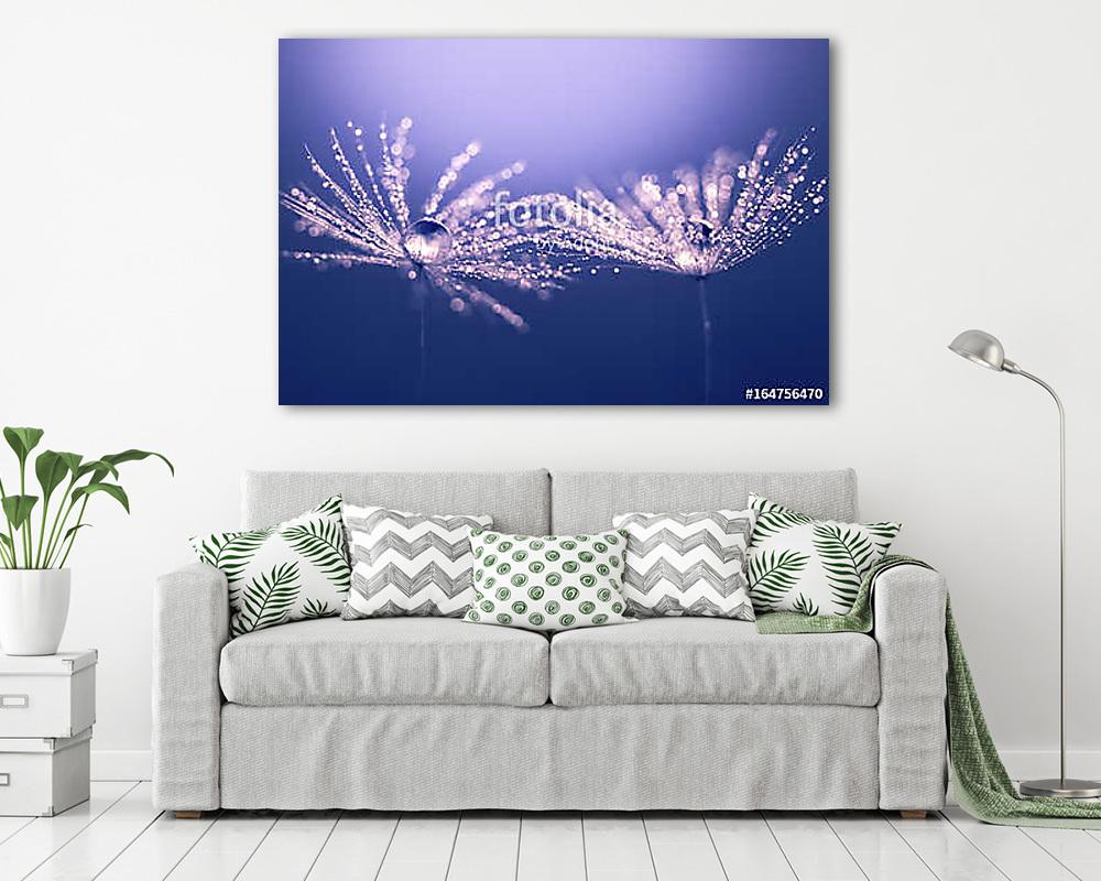 Abstract macro of a dandelion. Water drops on a dandelion. Spark - vászonkép, falikép vásárlás Abstract macro of a dandelion. Water drops on a dandelion. Spark (vászonkép) - vászonkép, falikép otthonra és irodába
