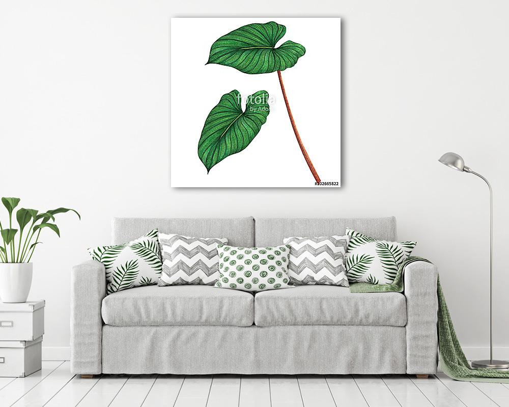 Watercolor painting green leaves,palm leaf isolated on white bac (többrészes kép) - vászonkép, falikép otthonra és irodába