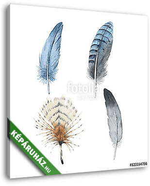 Watercolor bird feather from wing isolated. Aquarelle wild flowe - vászonkép 3D látványterv