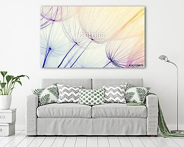  dandelion flower background (vászonkép) - vászonkép, falikép otthonra és irodába