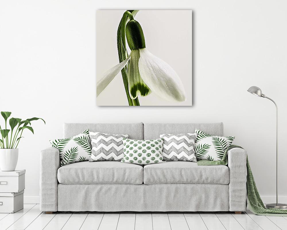 Hóvirág 1. (fotótapéta) - vászonkép, falikép otthonra és irodába