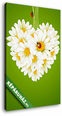 Virágos szerelmi kártya (kamilla szív) - vászonkép 3D látványterv