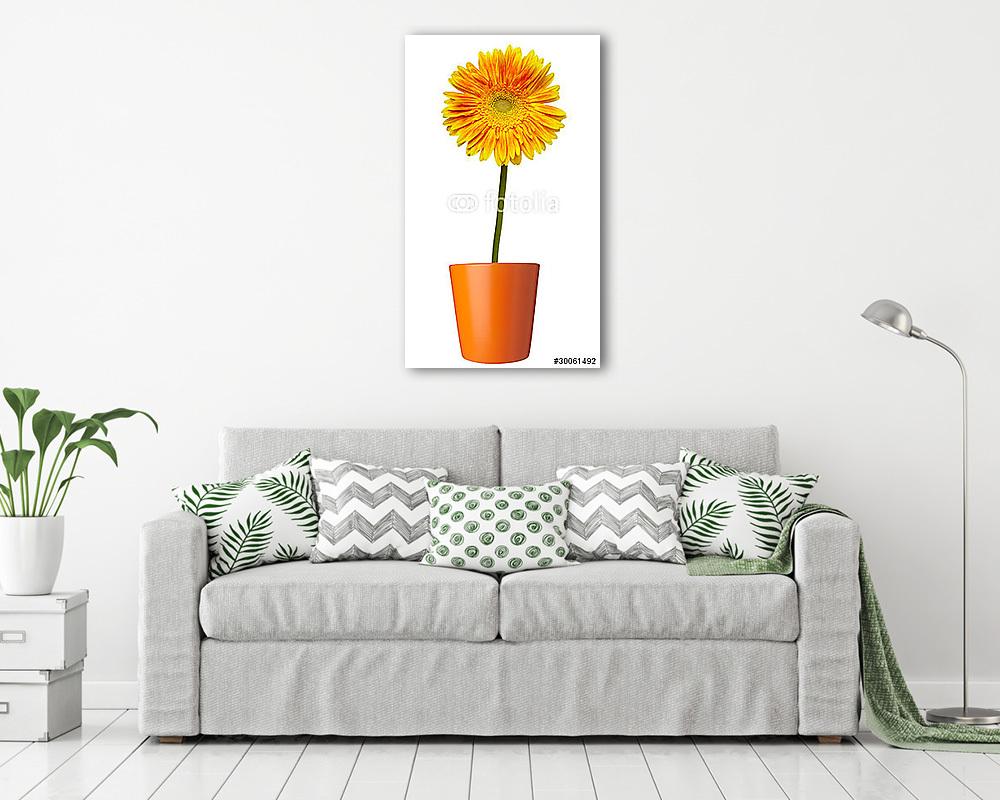 virágos természet kert botanika százszorszép virágos edény (vászonkép) - vászonkép, falikép otthonra és irodába