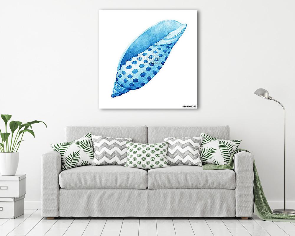 Illustrations of blue sea shells. Marine design. Hand drawn wate (poszter) - vászonkép, falikép otthonra és irodába