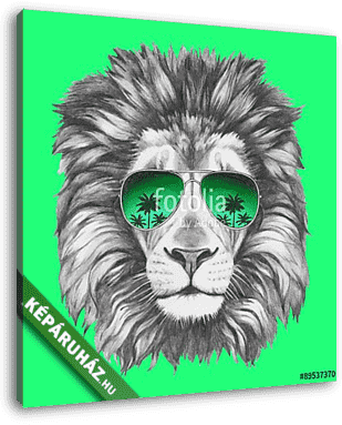 Hand drawn portrait of Lion with sunglasses. Vector isolated ele - vászonkép 3D látványterv