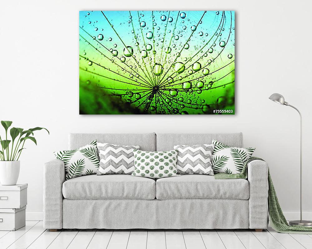 dandelion flower - vászonkép, falikép vásárlás dandelion flower (poszter) - vászonkép, falikép otthonra és irodába