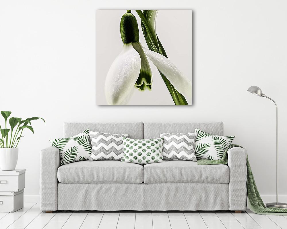 Hóvirág 2. - vászonkép, falikép vásárlás Hóvirág 2. (vászonkép) - vászonkép, falikép otthonra és irodába