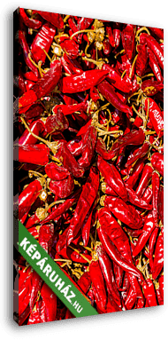 Hungary pepper - vászonkép 3D látványterv