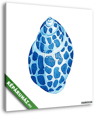 Illustrations of blue sea shells. Marine design. Hand drawn wate - vászonkép 3D látványterv