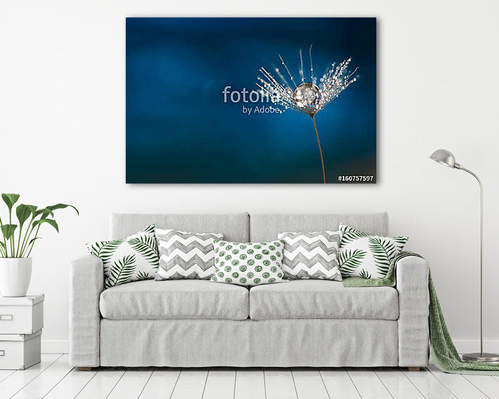 Dandelion with a drop of water. A beautiful macro seed of a dand - vászonkép, falikép vásárlás Dandelion with a drop of water. A beautiful macro seed of a dand (vászonkép) - vászonkép, falikép otthonra és irodába