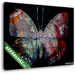 Grunge butterfly - vászonkép 3D látványterv