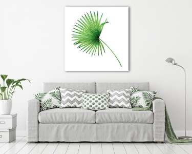 Watercolor painting coconut,palm leaf,green leave isolated on wh (vászonkép) - vászonkép, falikép otthonra és irodába