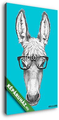 Portrait of Donkey with glasses. Hand drawn illustration. - vászonkép 3D látványterv