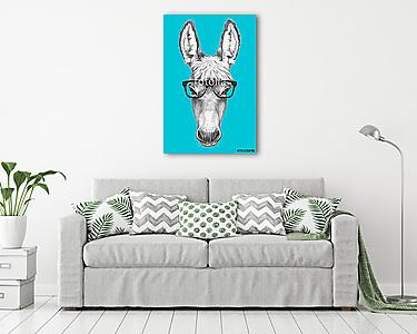 Portrait of Donkey with glasses. Hand drawn illustration. (vászonkép) - vászonkép, falikép otthonra és irodába