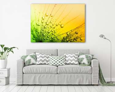  dandelion flower background (vászonkép) - vászonkép, falikép otthonra és irodába