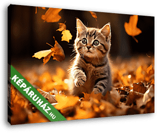 Cica játszik az őszi levelekkel - vászonkép 3D látványterv