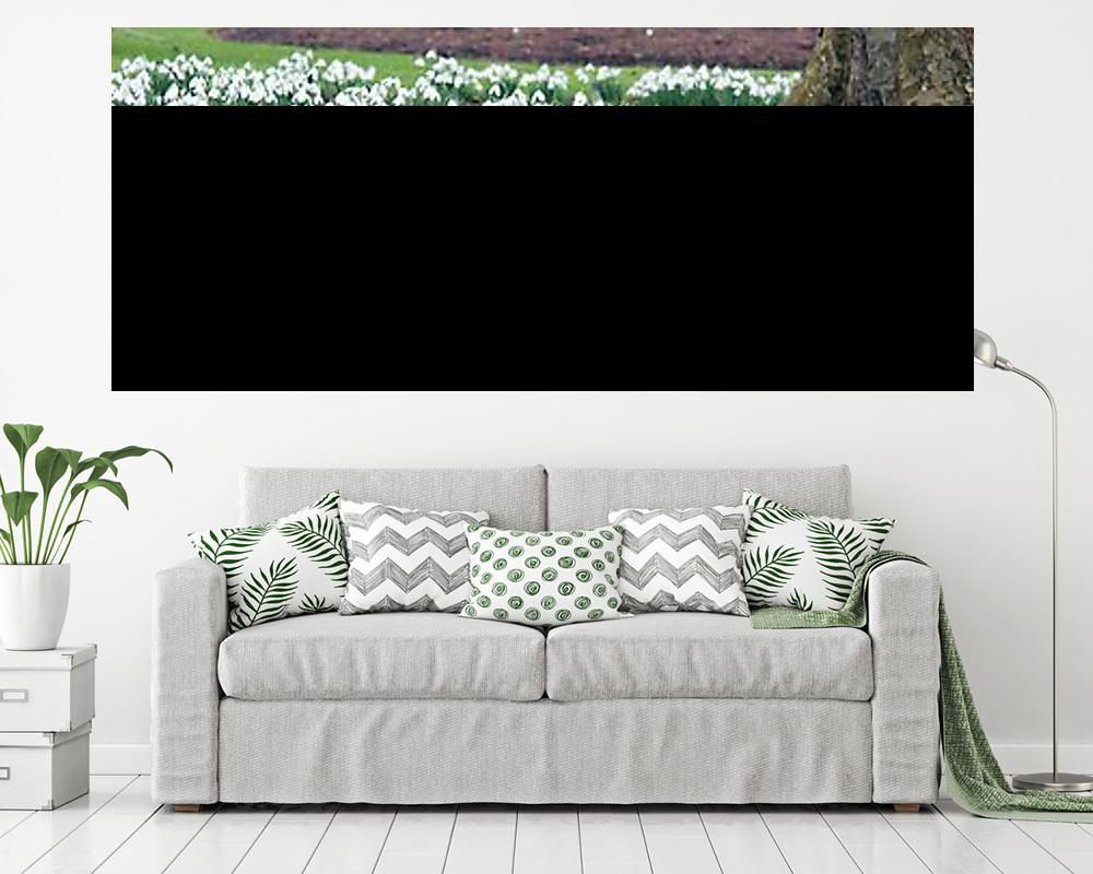 Hóvirág mező - vászonkép, falikép vásárlás Hóvirág mező (fotótapéta) - vászonkép, falikép otthonra és irodába