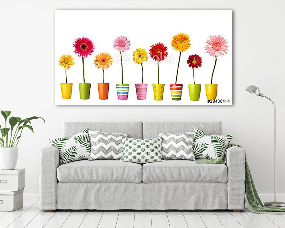 virág természet kert növényi százszorszép virágos edény (többrészes kép) - vászonkép, falikép otthonra és irodába