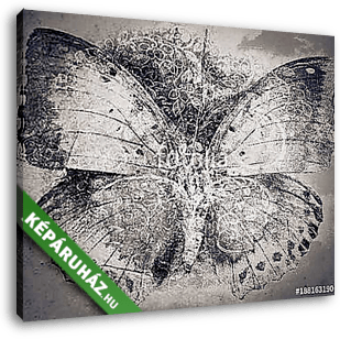 grunge butterfly background texture - vászonkép 3D látványterv
