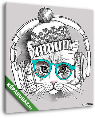 Image cat portrait in a hat and headphones. Vector illustration. - vászonkép 3D látványterv