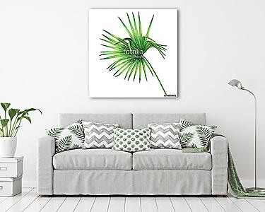 Watercolor painting coconut,palm leaf,green leave isolated on wh (vászonkép) - vászonkép, falikép otthonra és irodába