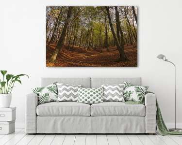 Őszi erdő (vászonkép) - vászonkép, falikép otthonra és irodába